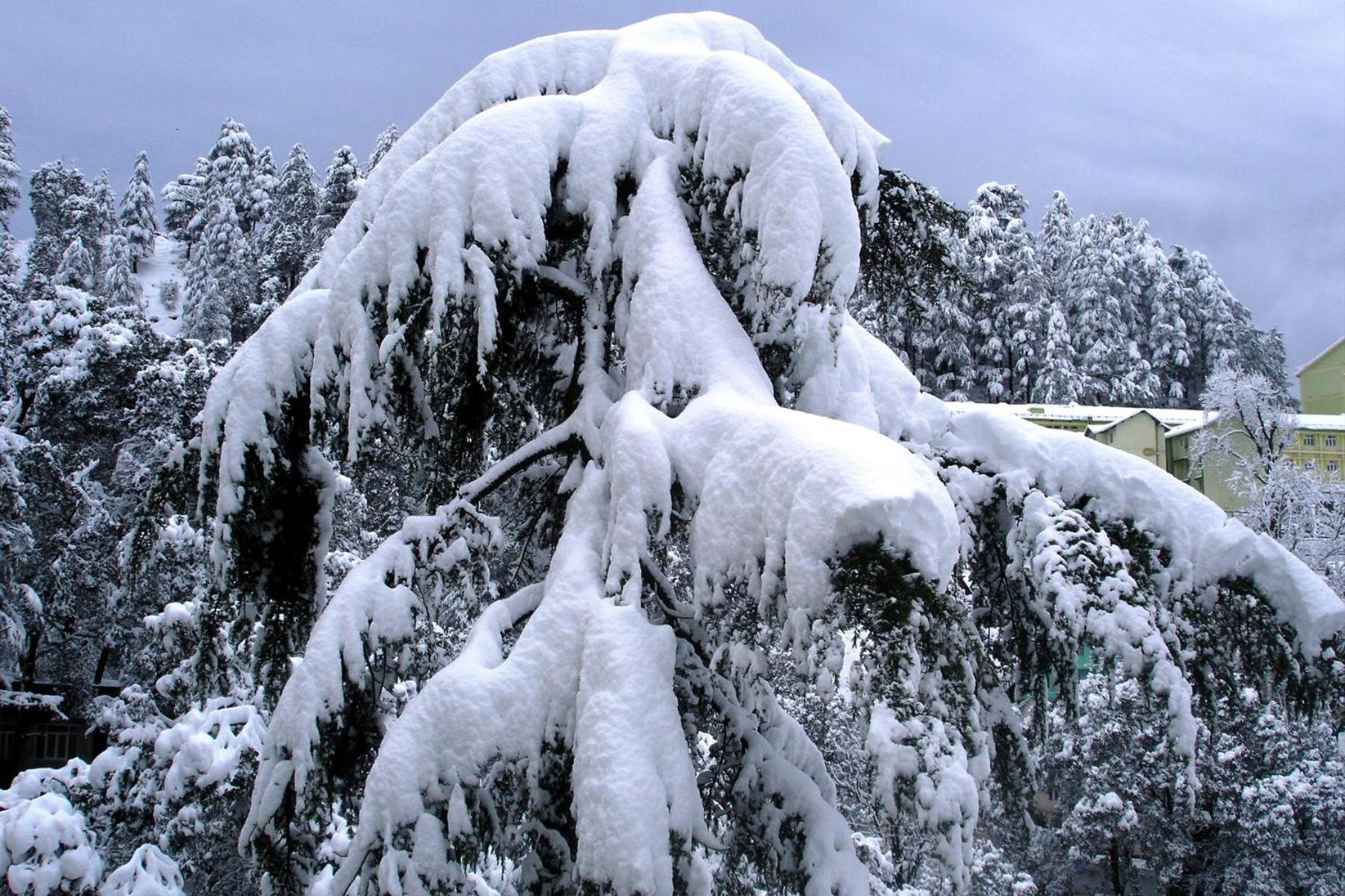심라 Mountain And Peace 아파트 외부 사진